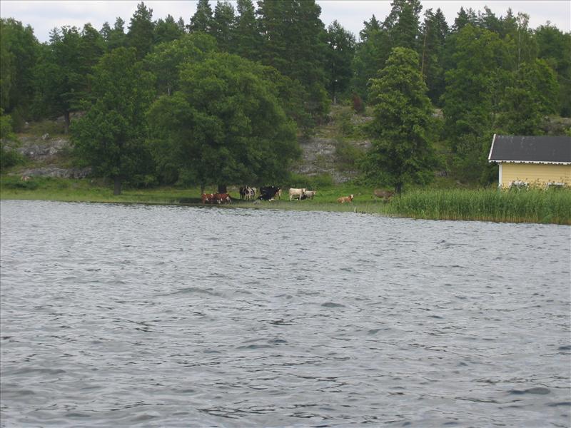 Sweden 2007-08 222